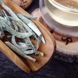 bílý čaj Silver needle - stříbrná jehla - má vysoký obsah kofeinu