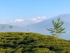 Pohled na osmitisícovku Kančendžonga z indického státu Sikkim