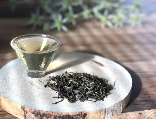 Pu erh Silver dragon